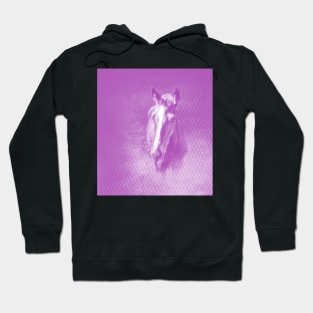 Horse emerging from the purple mist Hoodie